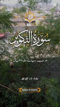 Al Quran Recitation That Touches the Heart 💖 | Beautiful Voice | Soothing & Spiritual #AlQuran #QuranRecitation #SpiritualHealing