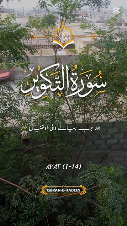 Al Quran Recitation That Touches the Heart 💖 | Beautiful Voice | Soothing & Spiritual  #AlQuran #QuranRecitation #SpiritualHealing