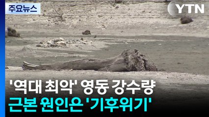 '역대 최악' 영동 강수량...근본 원인은 '기후위기' / YTN