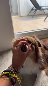 Woman Forms LOVE With Hands While Dog Joins