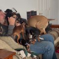 Man Cuddles With Pack of Dogs in Pure Bliss