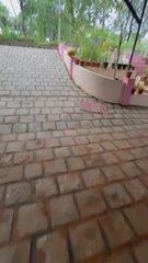 Man Kicks Football, Knocks Pot, But Catches It