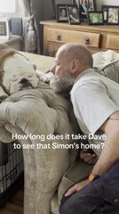 Man Waits Patiently for His Dog to Recognise Him While He Snoozes Without Care