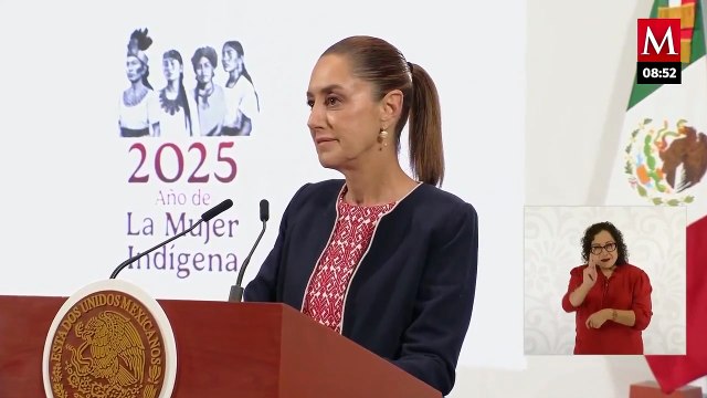 ¡Agresión física a un Senador y patear a un joven! : Sheinbaum sobre pelea de Noroña y ‘Alito‘