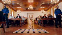 El Juicio de un Perro | Tráiler oficial subtitulado
