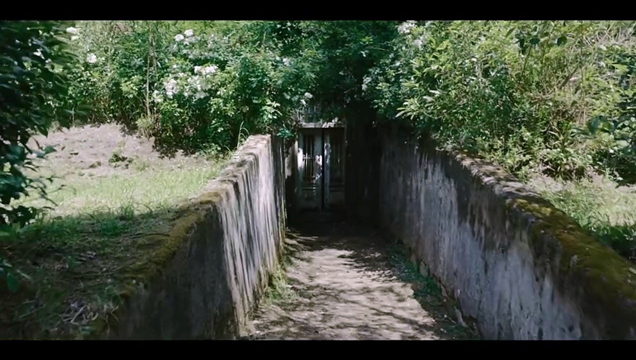 AMELIAS'S CHILDREN Film