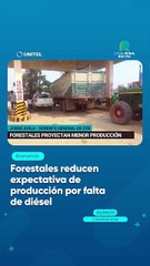 Forestales reducen expectativa de producción por falta de diésel