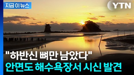 관광객 해수욕장 산책 중에...하반신만 남은 시신 발견 [지금이뉴스] / YTN
