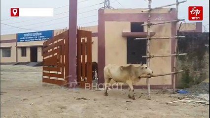 नए भवन में शिफ्ट होते ही संप्रेक्षण गृह से भागे 4 बालक, खिड़की के रास्ते हुए फरार