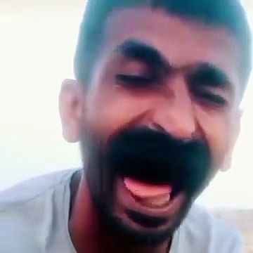 Meow 😼😼 ... hahaha 😂😂 #shorts #laughing #memes - Memes Wavex (360p, h264)