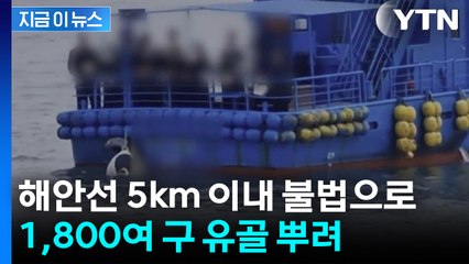 1,800여 구 유골 불법으로 뿌려...위법 해양 장례업체 적발 [지금이뉴스] / YTN