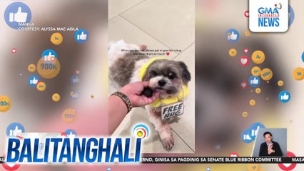 Alok na libreng yakap ng isang alagang aso, kumurot sa puso ng mallgoers at netizens | Balitanghali