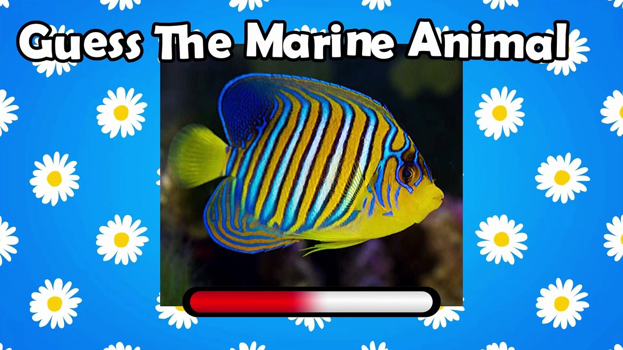 Only 1% Can Name All These Sea Animals! 🧠🌊 | Marine Quiz 2025