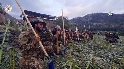 Afganistan'da yıkıcı deprem; kara yolu kapandı, arama çalışmaları havadan yapılıyor