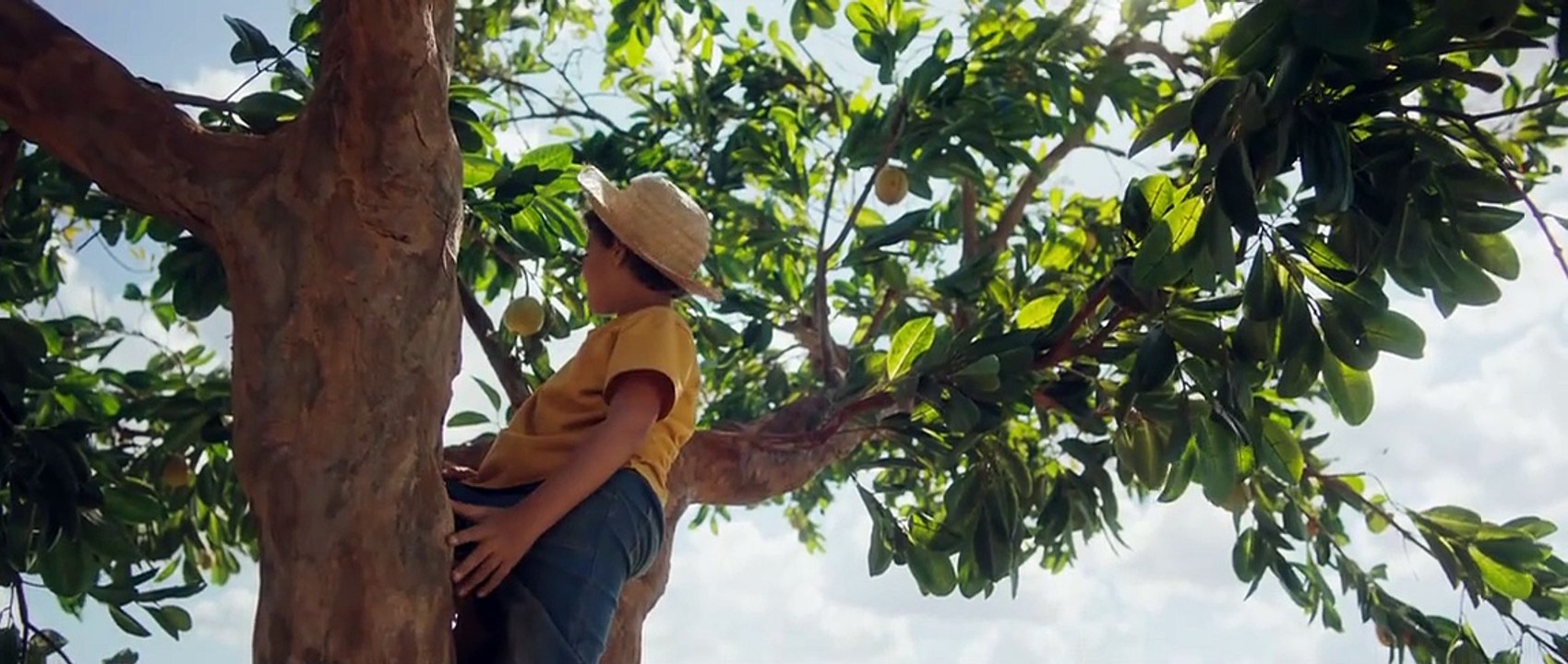 Pelicula Cap 27 Drama Español Latino