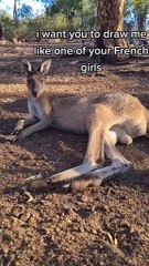 Kangaroo diaries only in Australia 🇦🇺