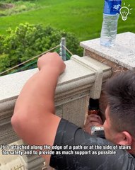 It's all about railing in this one!