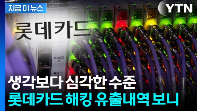 17일간 까맣게 몰랐다...'회원 960만 명' 롯데카드, 보안 대형 구멍 [지금이뉴스] / YTN