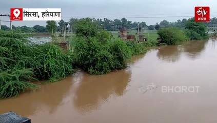 सिरसा में घग्गर नदी का तांडव, बाढ़ की चपेट में कई गांव, प्रशासन ने किया टीमों का गठन, आपातकालीन नंबर भी जारी