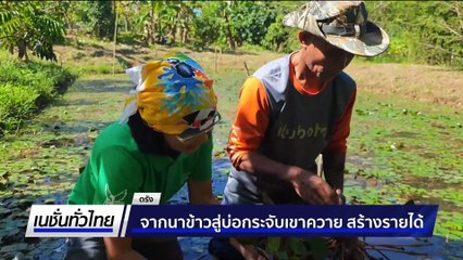 จากนาข้าวสู่บ่อกระจับเขาควาย สร้างรายได้ | เนชั่นทั่วไทย | 02 ก.ย. 68 | PART 2