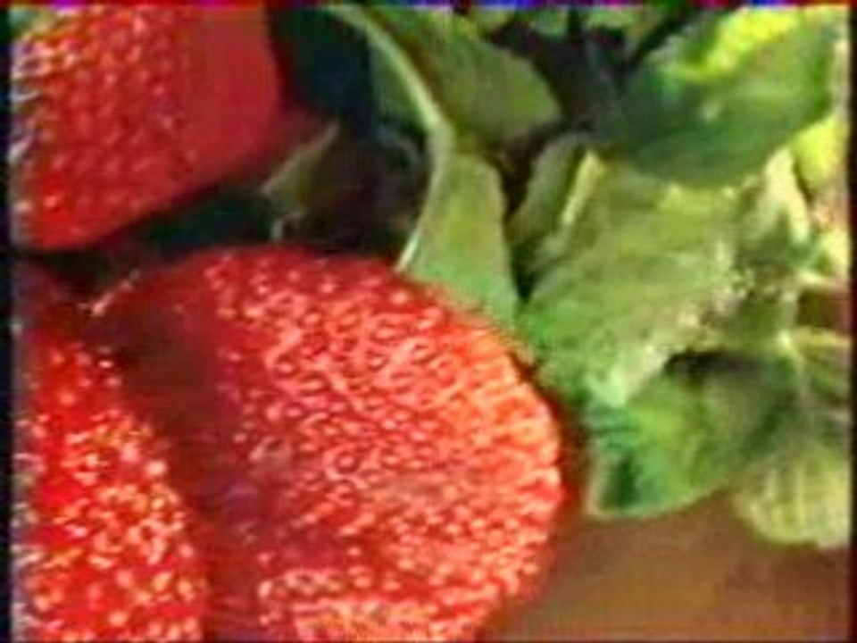 Deux recettes de cuisine n°17