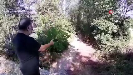 Bolu’da kuraklık alarmı! Uluçay Deresi tamamen kurudu, köy halkı nöbetleşe su alıyor