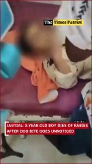 Tragedy in Jagtial: 3-Year-Old Boy Dies of Rabies After Dog Bite Goes Unnoticed