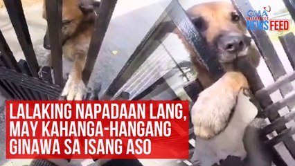 Lalaking napadaan lang, may kahanga-hangang ginawa sa isang aso | GMA Integrated Newsfeed