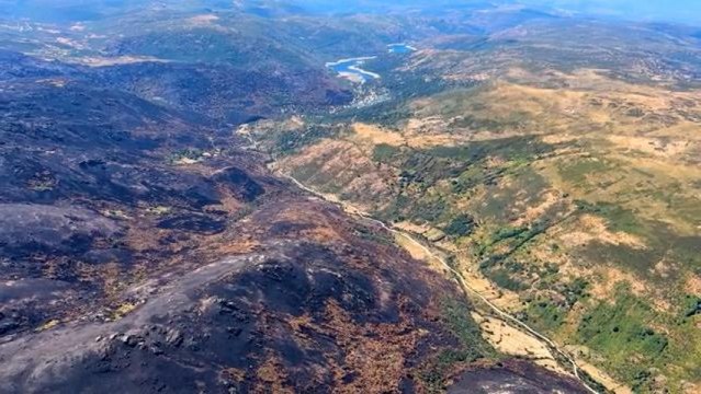 Greenpeace documenta con imágenes exclusivas desde el aire las zonas quemadas por los incendios en las provincias más afectadas: Ourense, León y Zamora