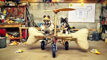 【犬漫才】鳥人間コンテストに出たい相方が開発した『天才的な設計図』がヤバすぎたwww犬たちの冒険が始まる！　[Dog comedy] The "genius blueprint" developed by a partner who wants to enter the Birdman Contest is so amazing lol The dog adventure begins!