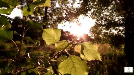 How Talking to Someone Lightens Death Anxiety  The Healing Power of Open Conversations