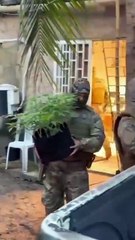 Polícia Civil estoura laboratório usado para cultivo e refinamento de maconha em Maceió