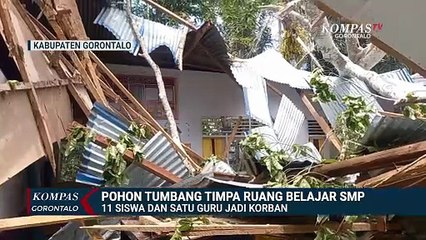 Pohon Tumbang Rusak Gedung Sekolah di Gorontalo, 11 Siswa dan 1 Guru Jadi Korban