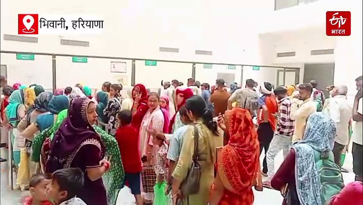 भिवानी में लबालब जलभराव, डीसी ने किया निरीक्षण, डेंगू-मलेरिया से निपटने के लिए स्वास्थ्य विभाग अलर्ट