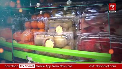 ఫ్రూట్స్​ వ్యాపారంలో రాణిస్తున్న విజయవాడ యువకుడు - ఏడాదిలోనే రూ.70 కోట్ల టర్నోవర్‌