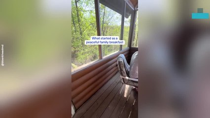 Dad and Kids Break-in After Getting Locked Out on Vacation