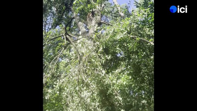 Parc Air Nature (Saint-Quentin-la-Poterie)
