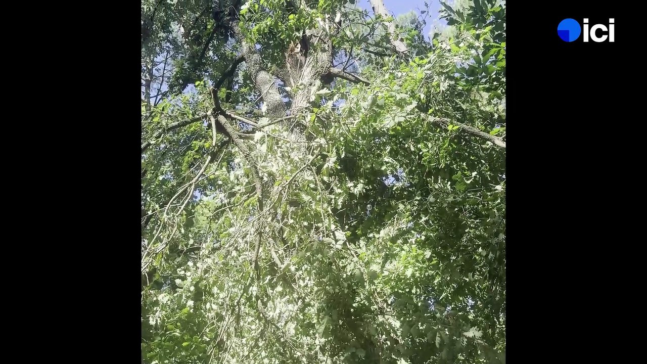 Parc Air Nature (Saint-Quentin-la-Poterie)