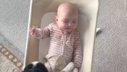 New puppy instantly makes itself feel at home by trying to befriend owner's newborn baby