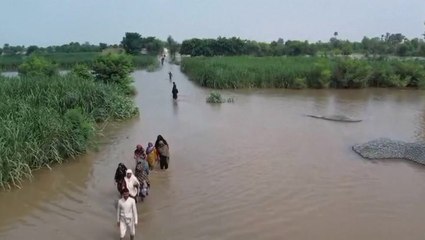 Pakistan floods: Emergency workers use drones to rescue people stranded on rooftops