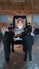 blossoms fall as old friends return