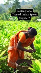 Searching for a reliable Indian spice supplier | Virdhara International