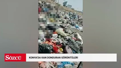 Konya’da kan donduran görüntüler!