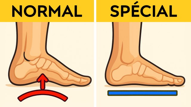 Parties du corps qui fonctionnent de manière étrange et brillante