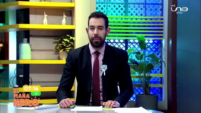 “¡Llegamos tarde!”: dijo la dueña de ‘Tres Mil’, un perrito cruelmente atropellado en Villa Pagador