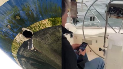 Los tripulantes de un velero graban cómo las orcas atacan la embarcación en las Rías Baixas