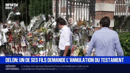 Succession d'Alain Delon: Alain-Fabien, le plus jeune fils de l'acteur, demande l'annulation du testament