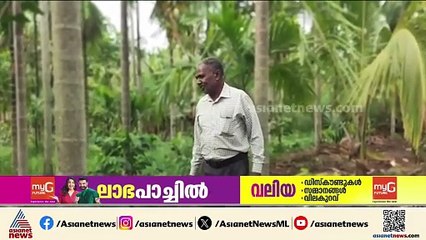 കോപ്പിയടി പിടിച്ചതിന് വ്യാജ പരാതി; 11 വർഷം ദുരിതം, ഒടുവിൽ നീതി