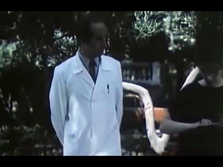 Rrethi i kujtesës (1987)