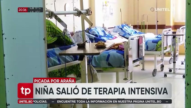 Niña picada por araña del rincón salió de terapia intensiva, aún se espera saber si tendrá secuelas